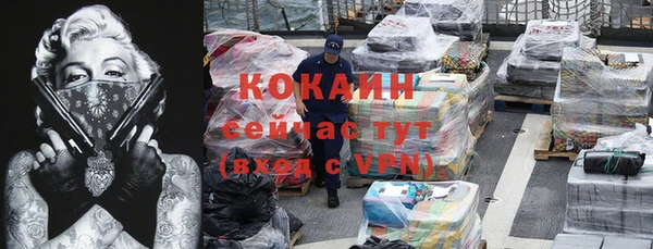 шишки Новозыбков