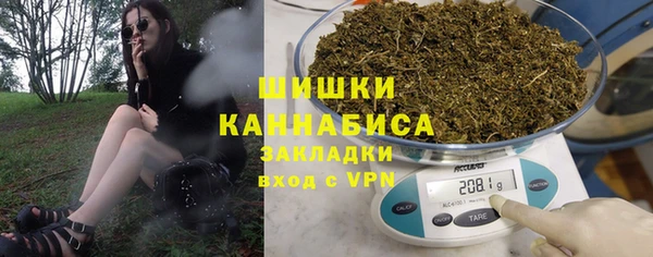 шишки Новозыбков