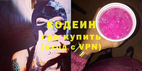 шишки Новозыбков