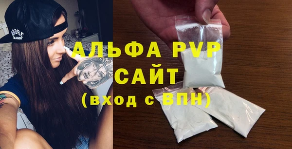 шишки Новозыбков